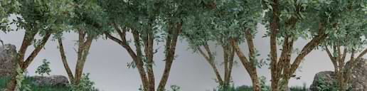 数百万体育爱好者在此汇聚 - 咪咕视频体育bofeng