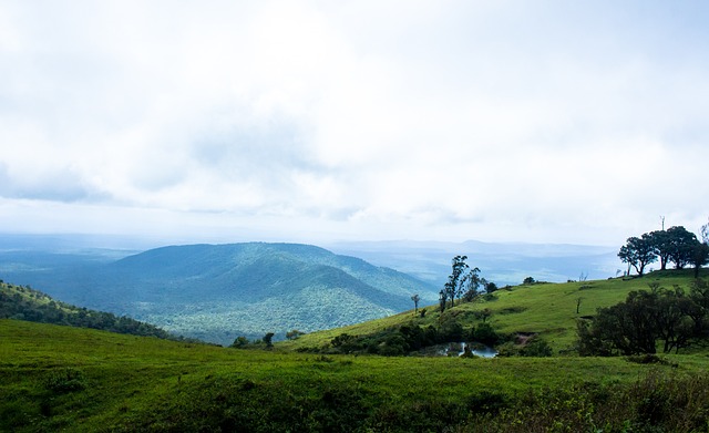 这位被誉为 这位被誉为