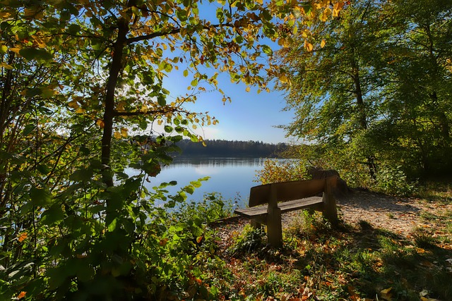 是巨大的考 是巨大的考
