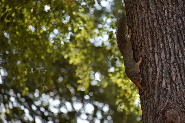 凡的潜力和 凡的潜力和