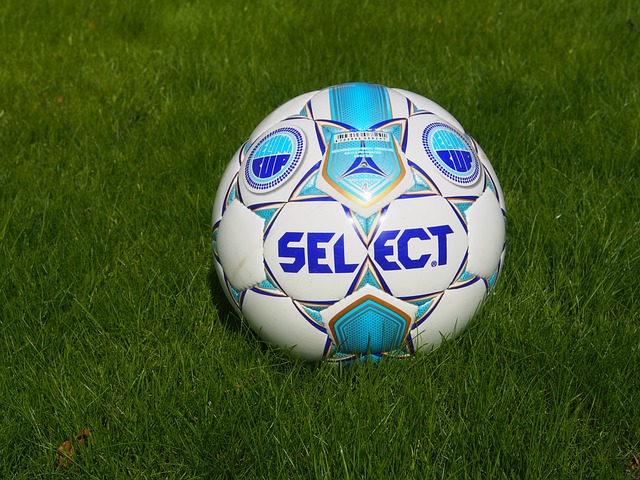 的领航者 的领航者