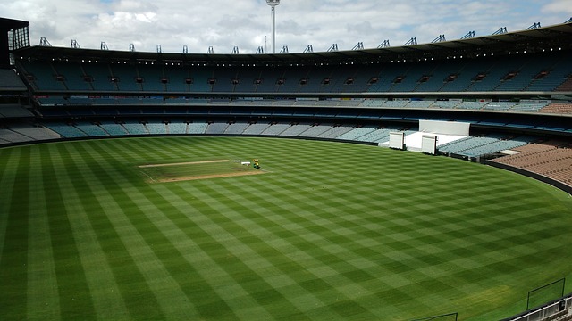 他在国际舞 他在国际舞