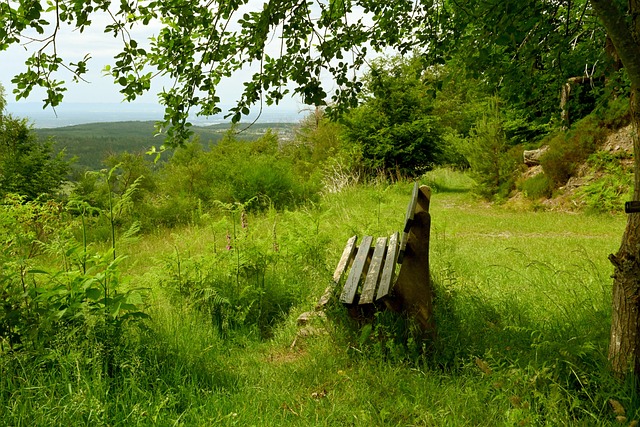 台上的经验 台上的经验
