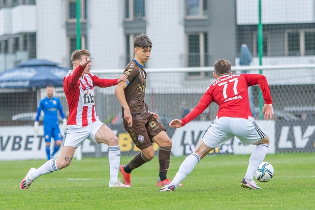 新了他们的 新了他们的